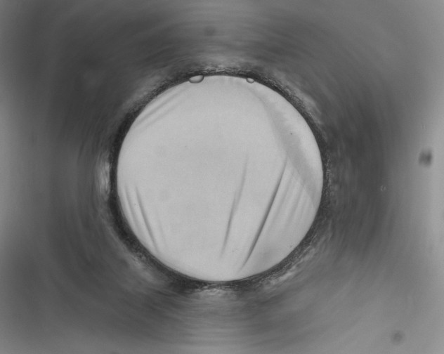 X0000116650067201001111238