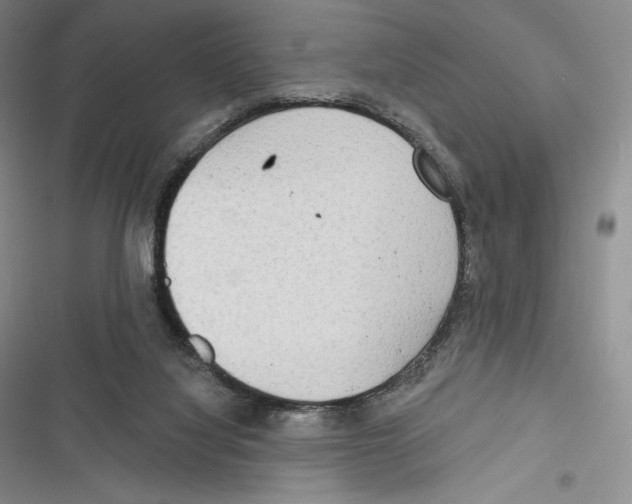 X0000116650068201001111238