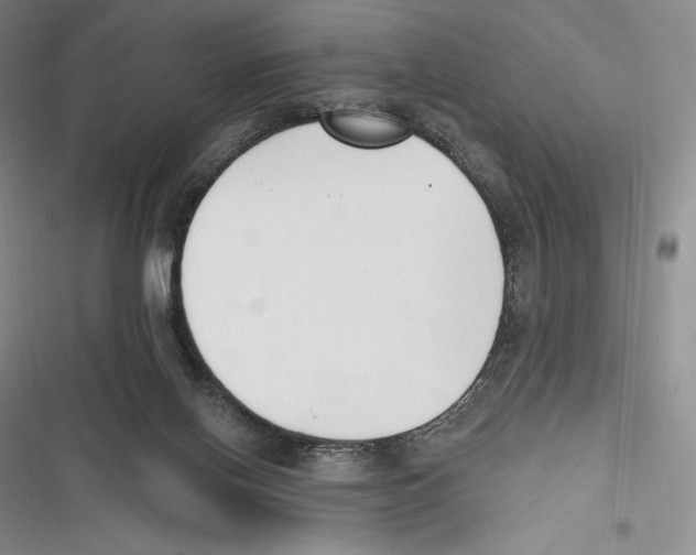 X0000116650070201001111238