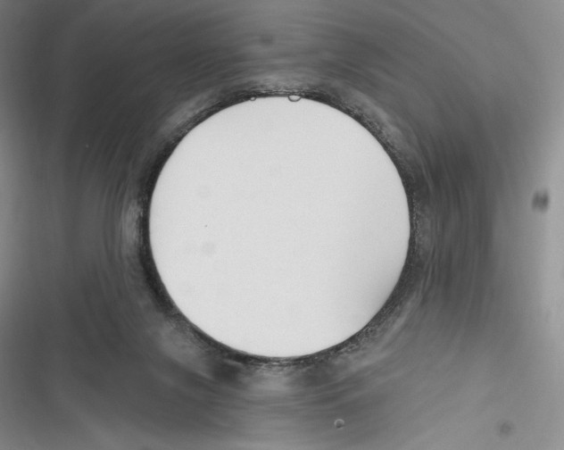 X0000116650071201001111238