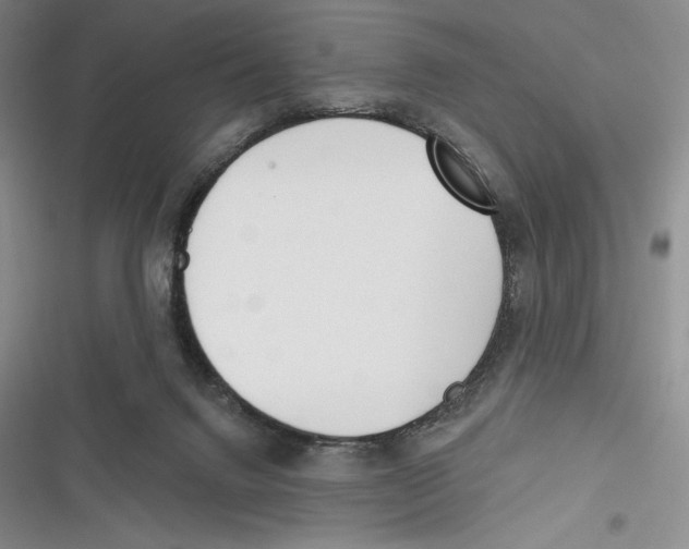X0000116650072201001111238