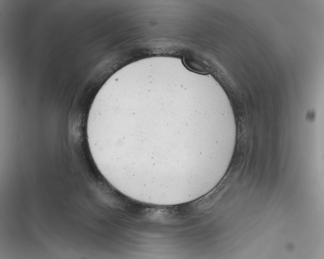 X0000116650074201001111238