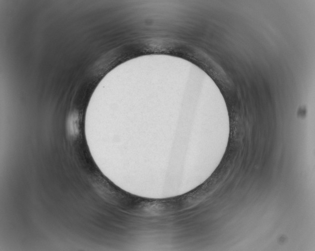 X0000116650075201001111238