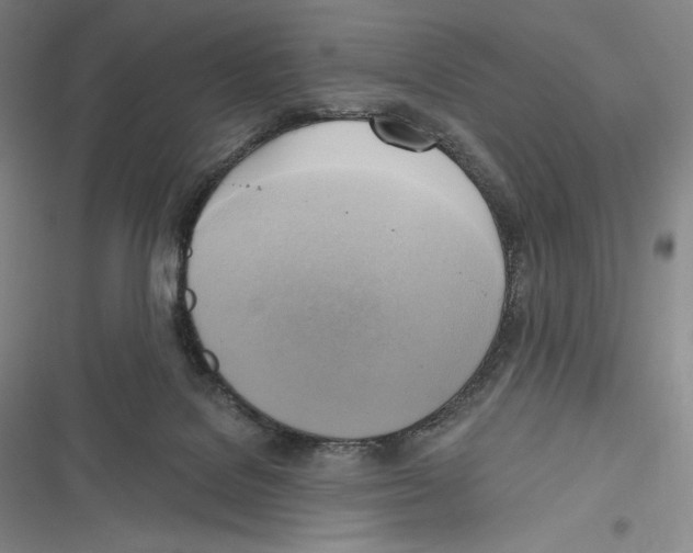 X0000116650076201001111238