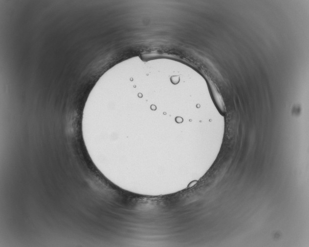 X0000116650077201001111238