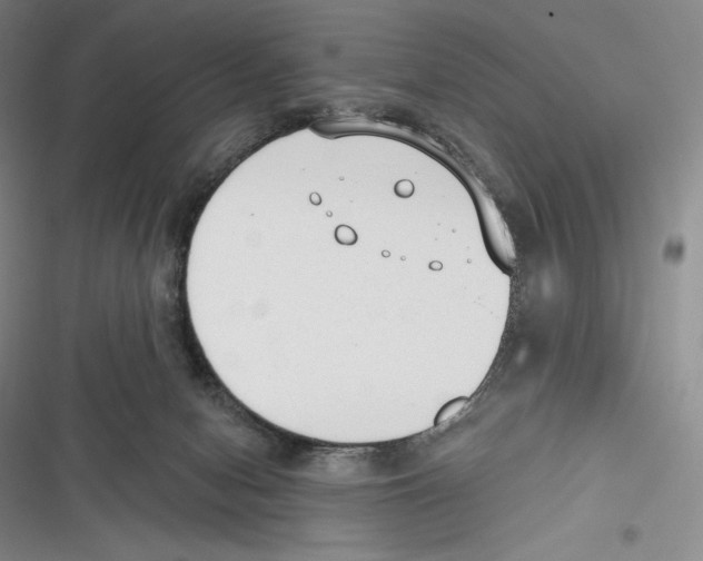 X0000116650078201001111238
