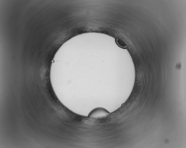 X0000116650079201001111238