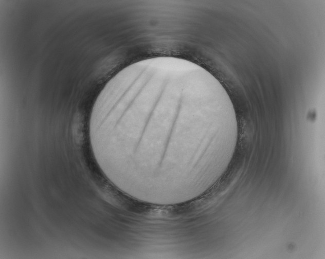 X0000116650080201001111238