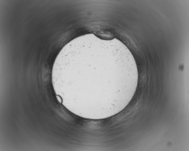 X0000116650081201001111238