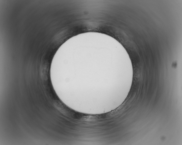 X0000116650082201001111238