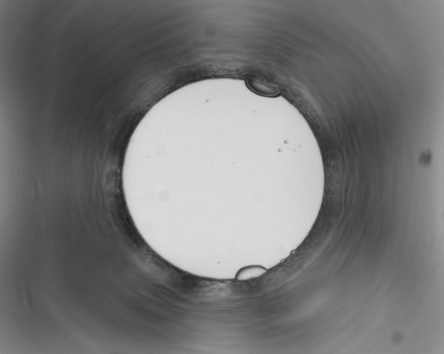 X0000116650083201001111238