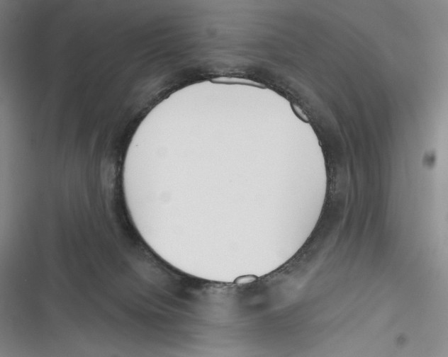 X0000116650084201001111238