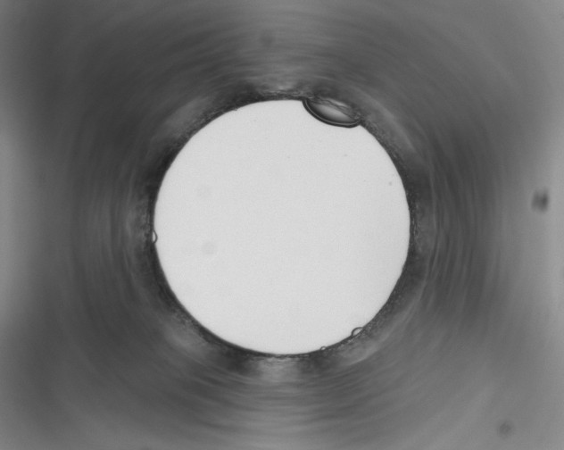 X0000116650085201001111238