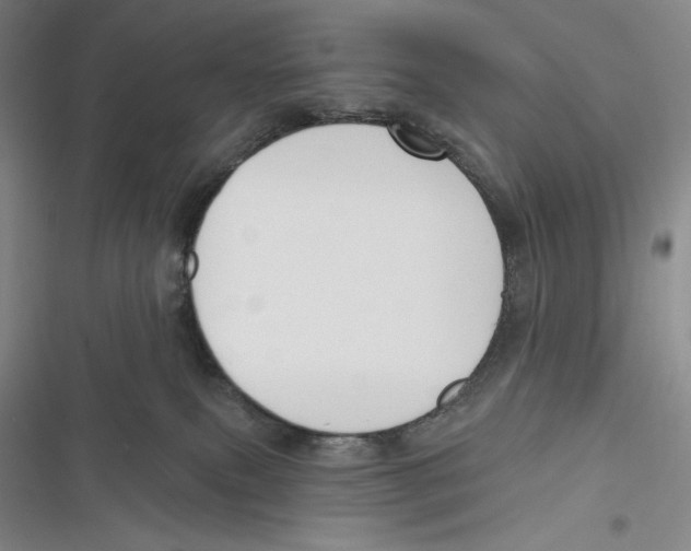 X0000116650087201001111238