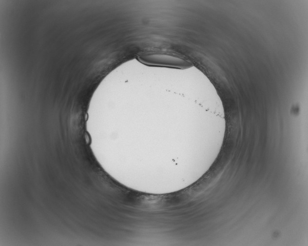 X0000116650088201001111238