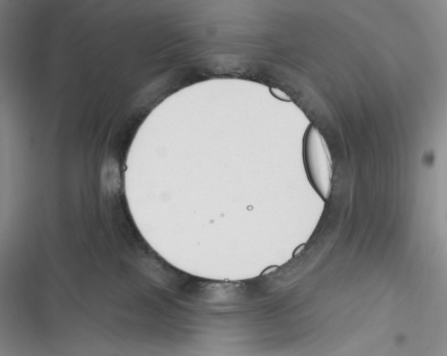 X0000116650089201001111238