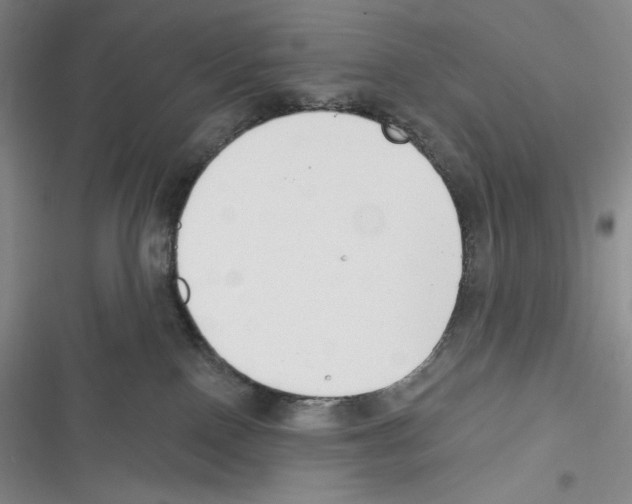 X0000116650090201001111238