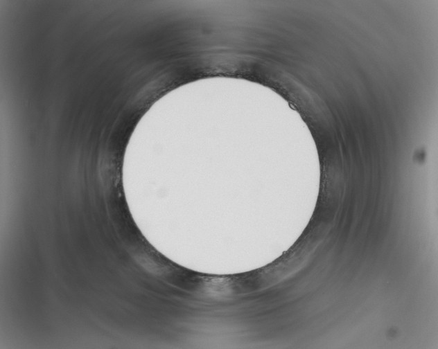 X0000116650091201001111238