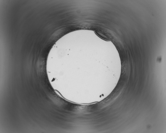 X0000116650092201001111238