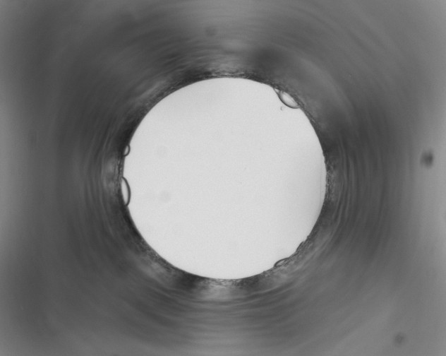 X0000116650093201001111238