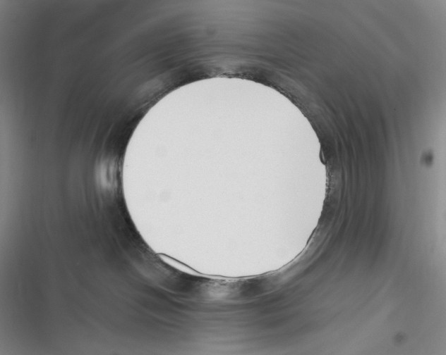 X0000116650094201001111238
