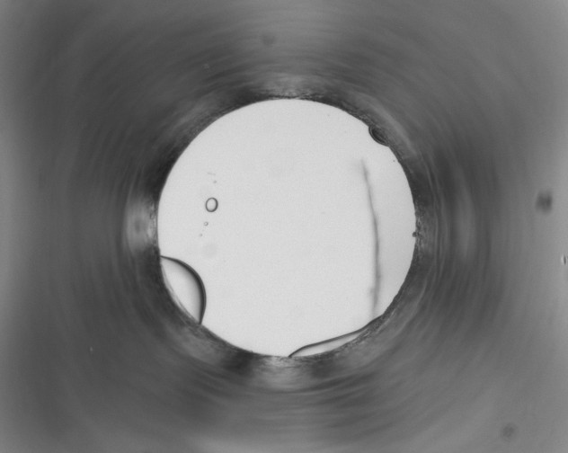 X0000116650095201001111238