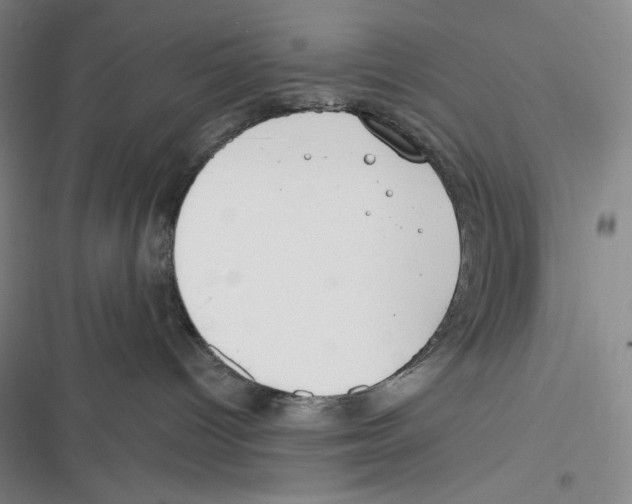 X0000116650096201001111238