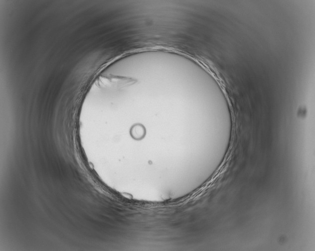X0000116650097201001111237