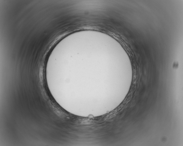 X0000116650098201001111237