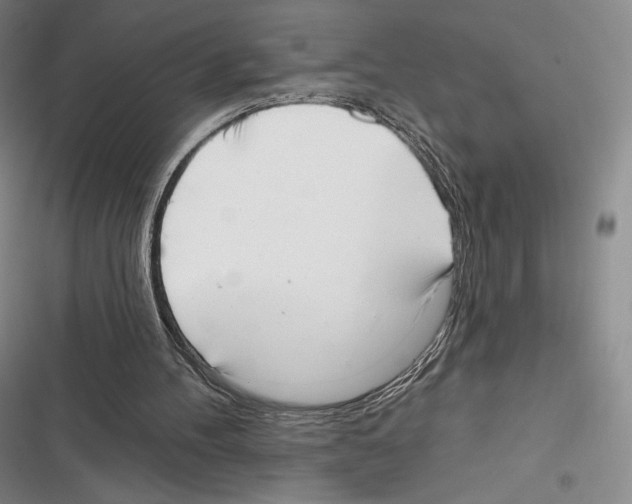 X0000116650100201001111237