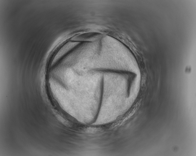 X0000116650101201001111237
