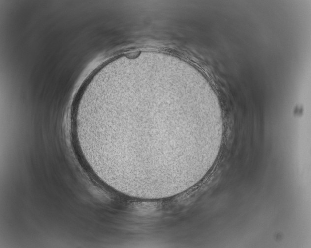 X0000116650102201001111237
