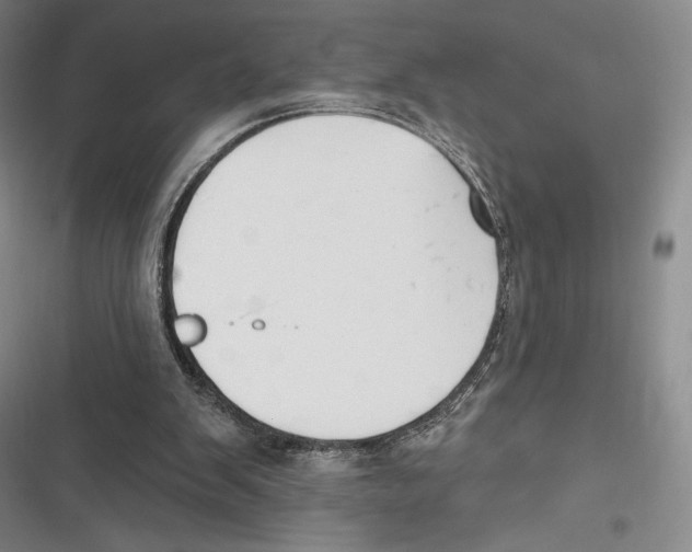 X0000116650103201001111237