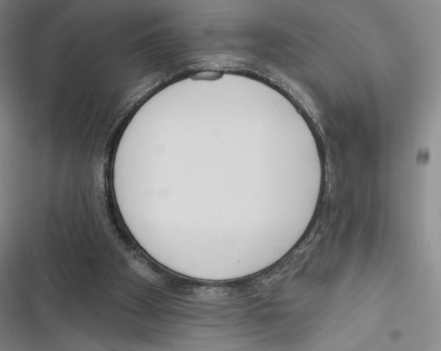 X0000116650105201001111237