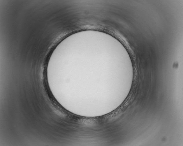 X0000116650106201001111237