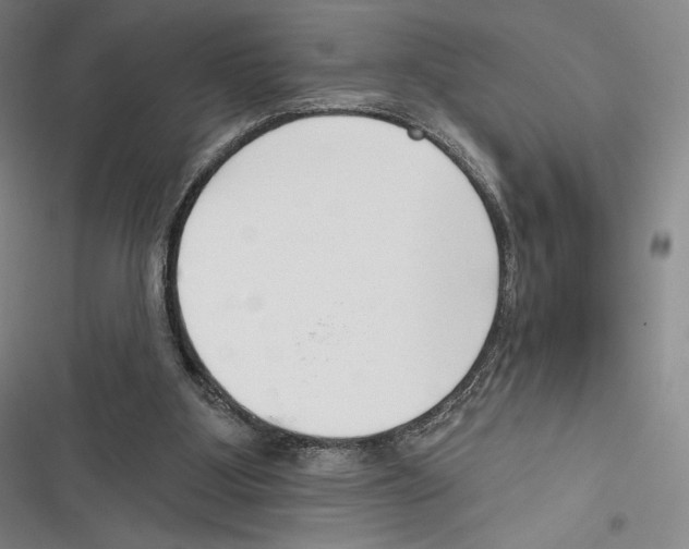X0000116650107201001111237