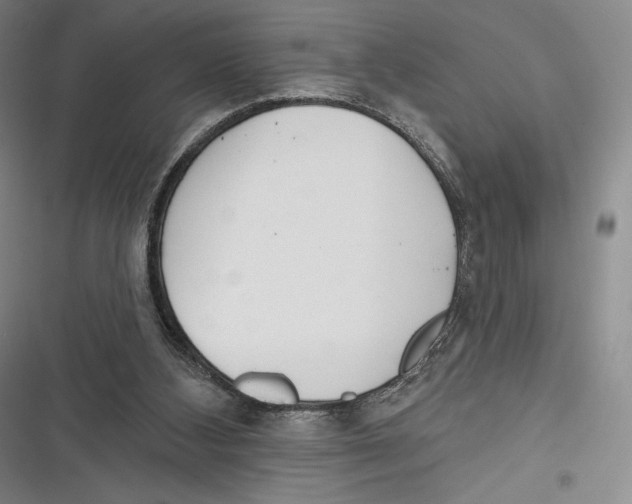 X0000116650108201001111237