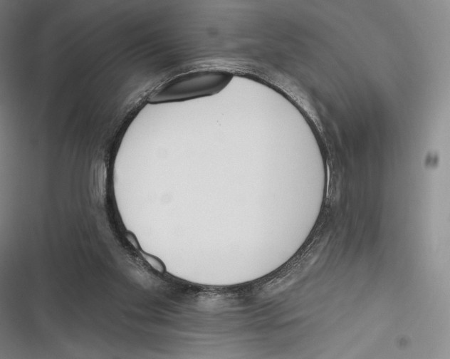 X0000116650109201001111237