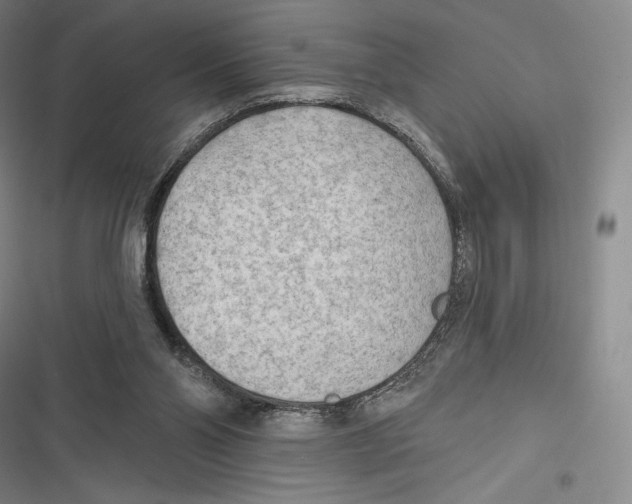 X0000116650110201001111237
