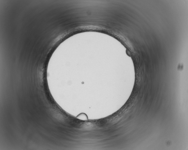 X0000116650111201001111237