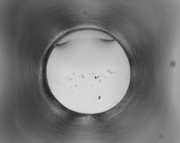 X0000116650112201001111237