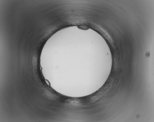 X0000116650113201001111237