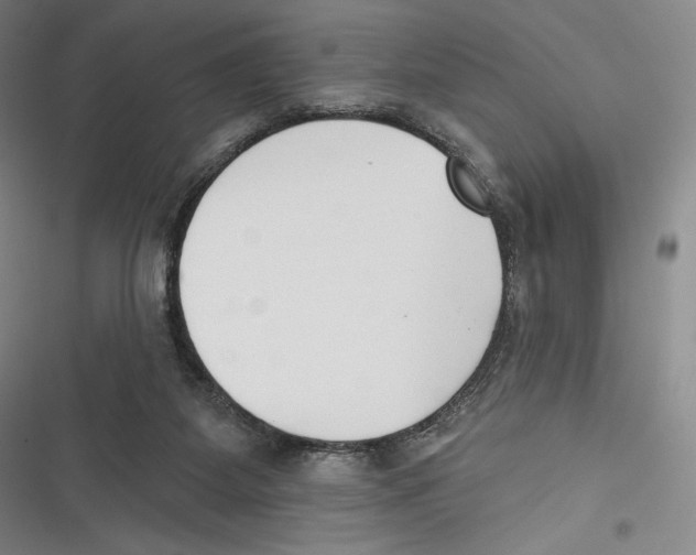 X0000116650115201001111237