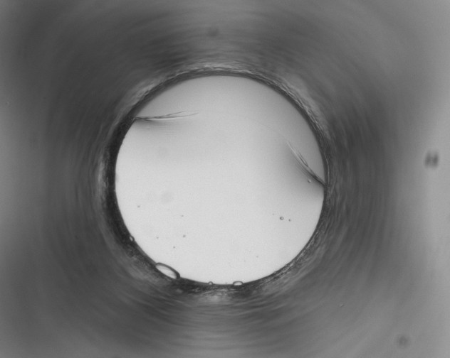 X0000116650116201001111237