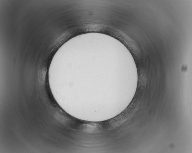 X0000116650118201001111237