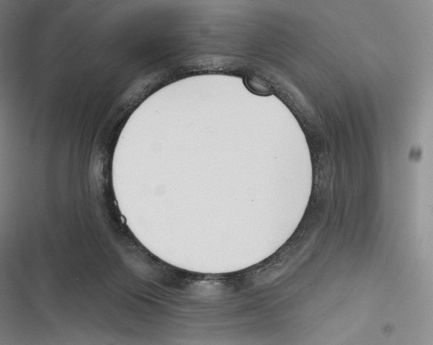 X0000116650119201001111237