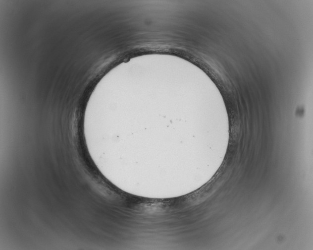 X0000116650120201001111237