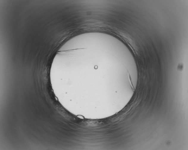 X0000116650121201001111237