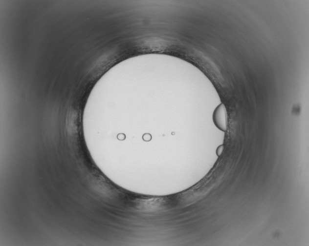 X0000116650122201001111237