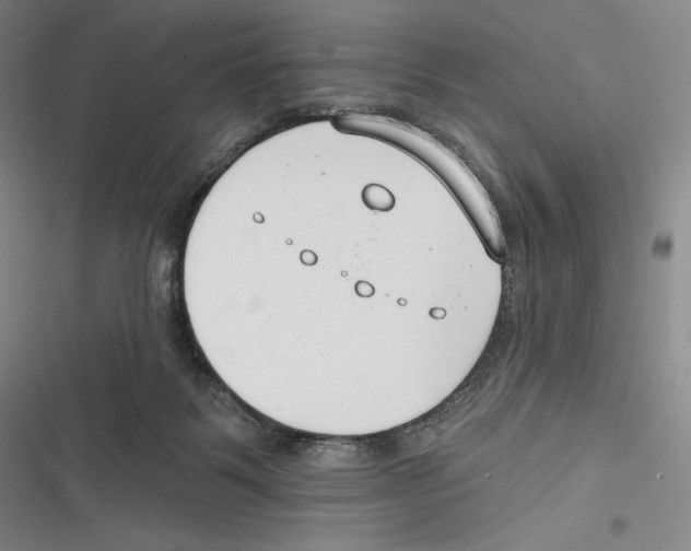 X0000116650123201001111237